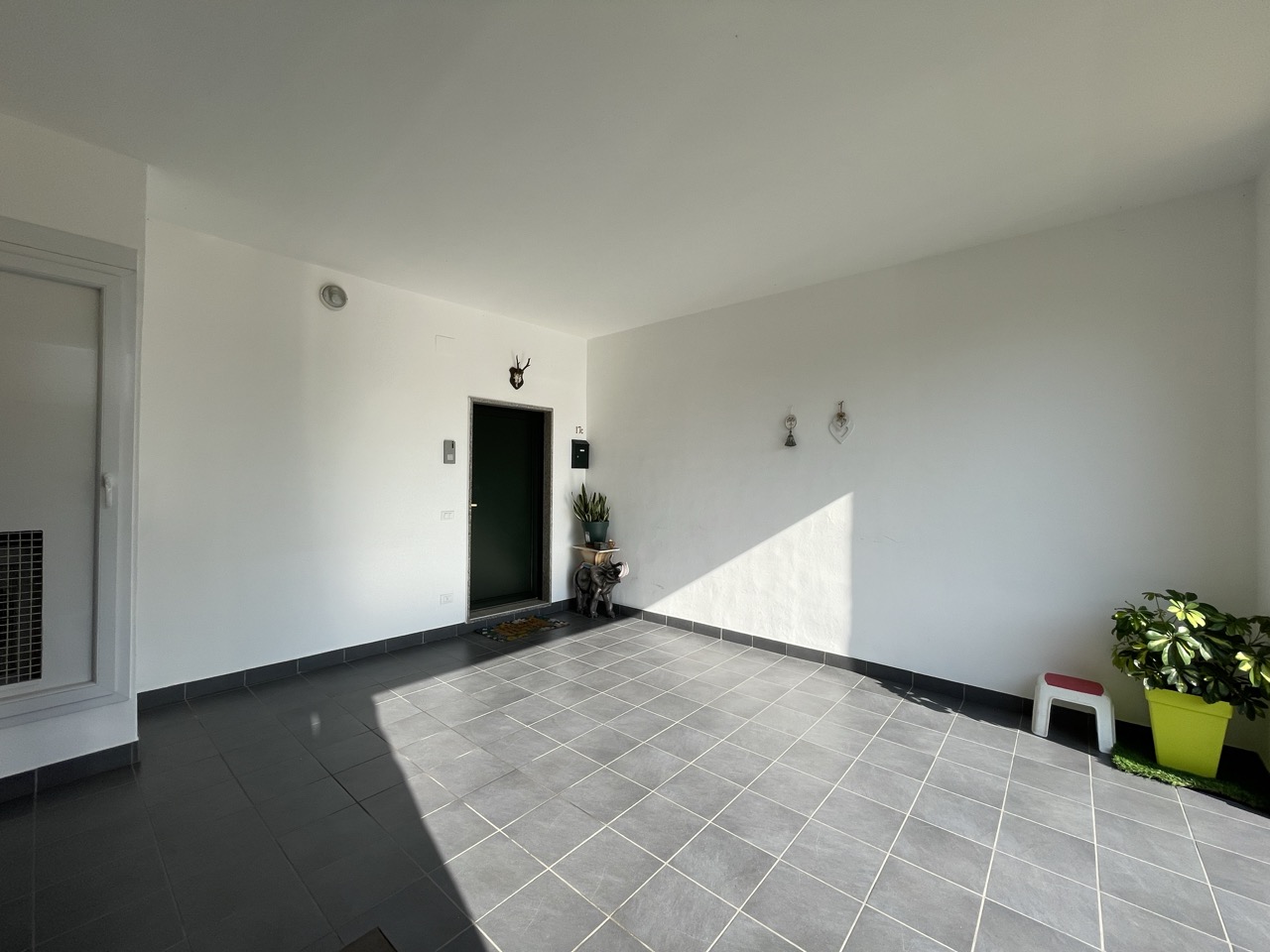 IMG_3586 – dimensioni grandi